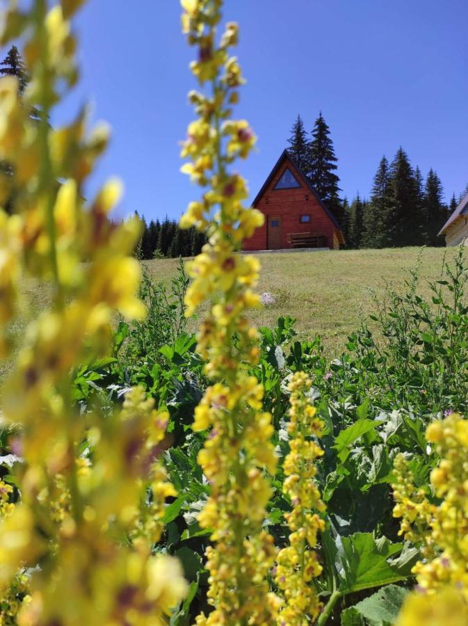 Wooden Cottage Podgora Zabljak  Bagian luar foto